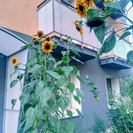 Mier City Centre Privatunterkunft